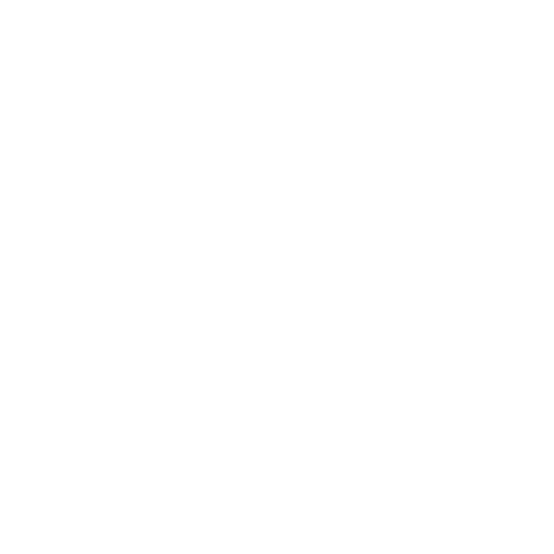 Hermes Notus Logo